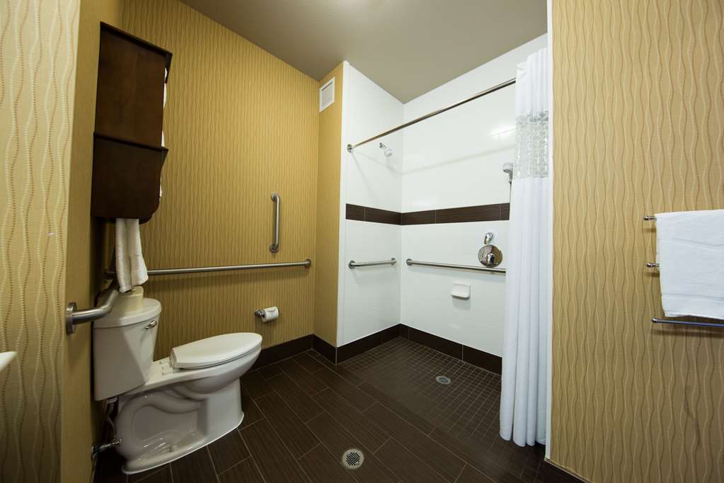 Hampton Inn Seattle/Everett Downtown Rum bild